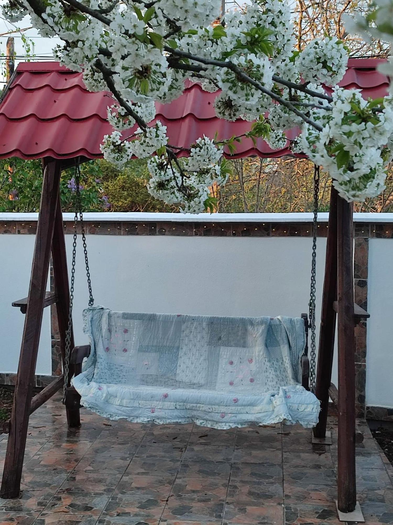 Courtyard Studio Oradea Ngoại thất bức ảnh