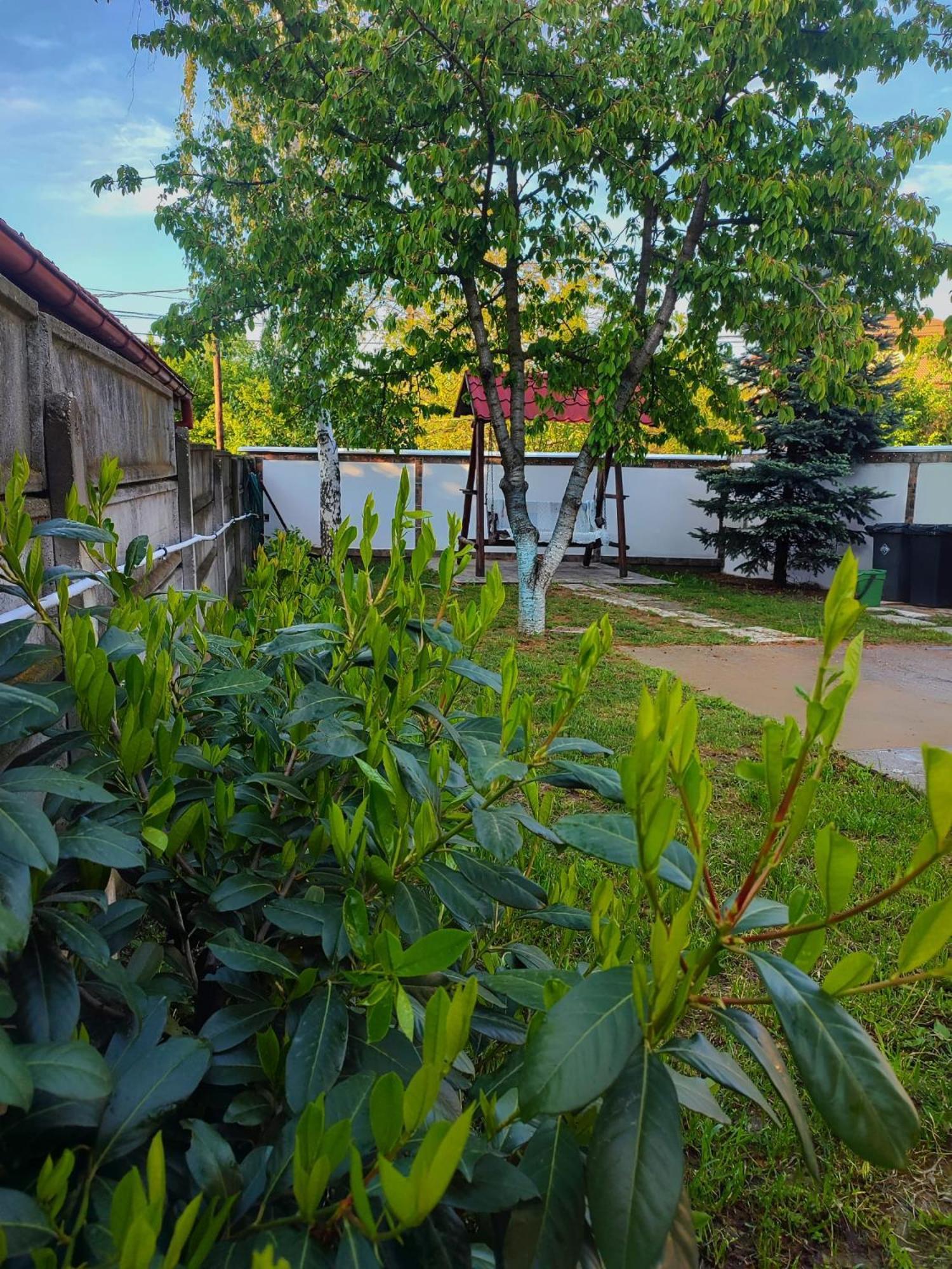 Courtyard Studio Oradea Ngoại thất bức ảnh