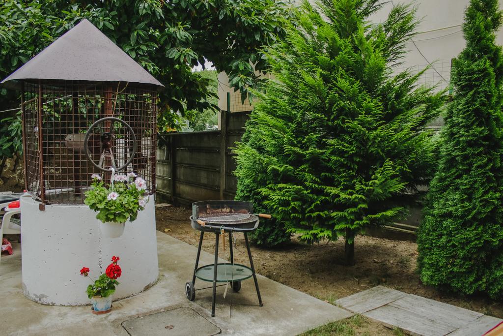 Courtyard Studio Oradea Ngoại thất bức ảnh